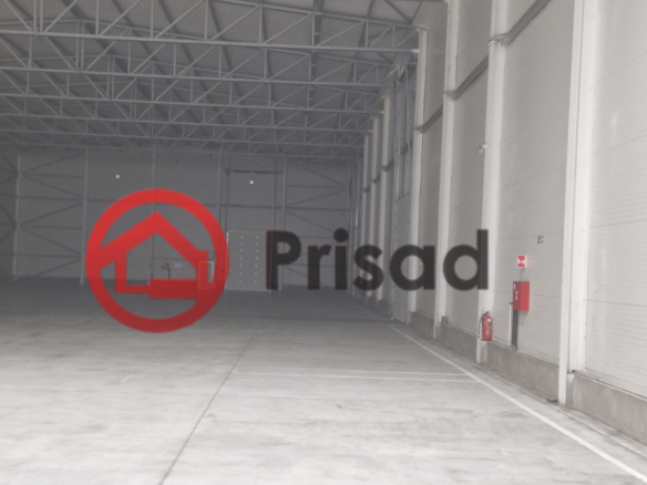 Dobanovci hala 4000m2