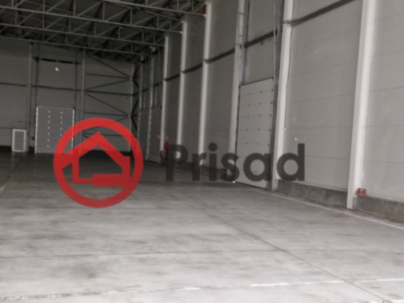 Dobanovci hala 4000m2