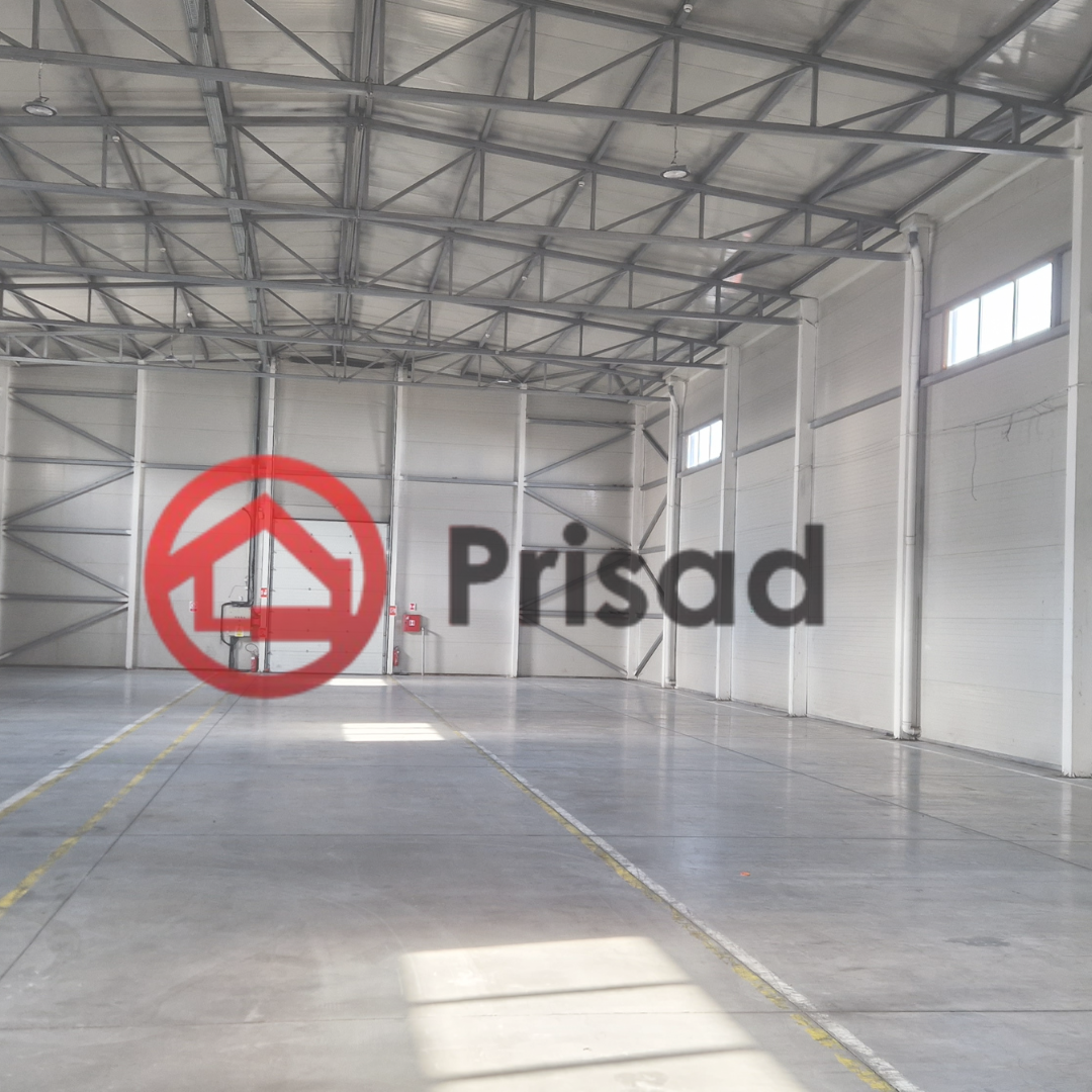 Dobanovci hala 4000m2