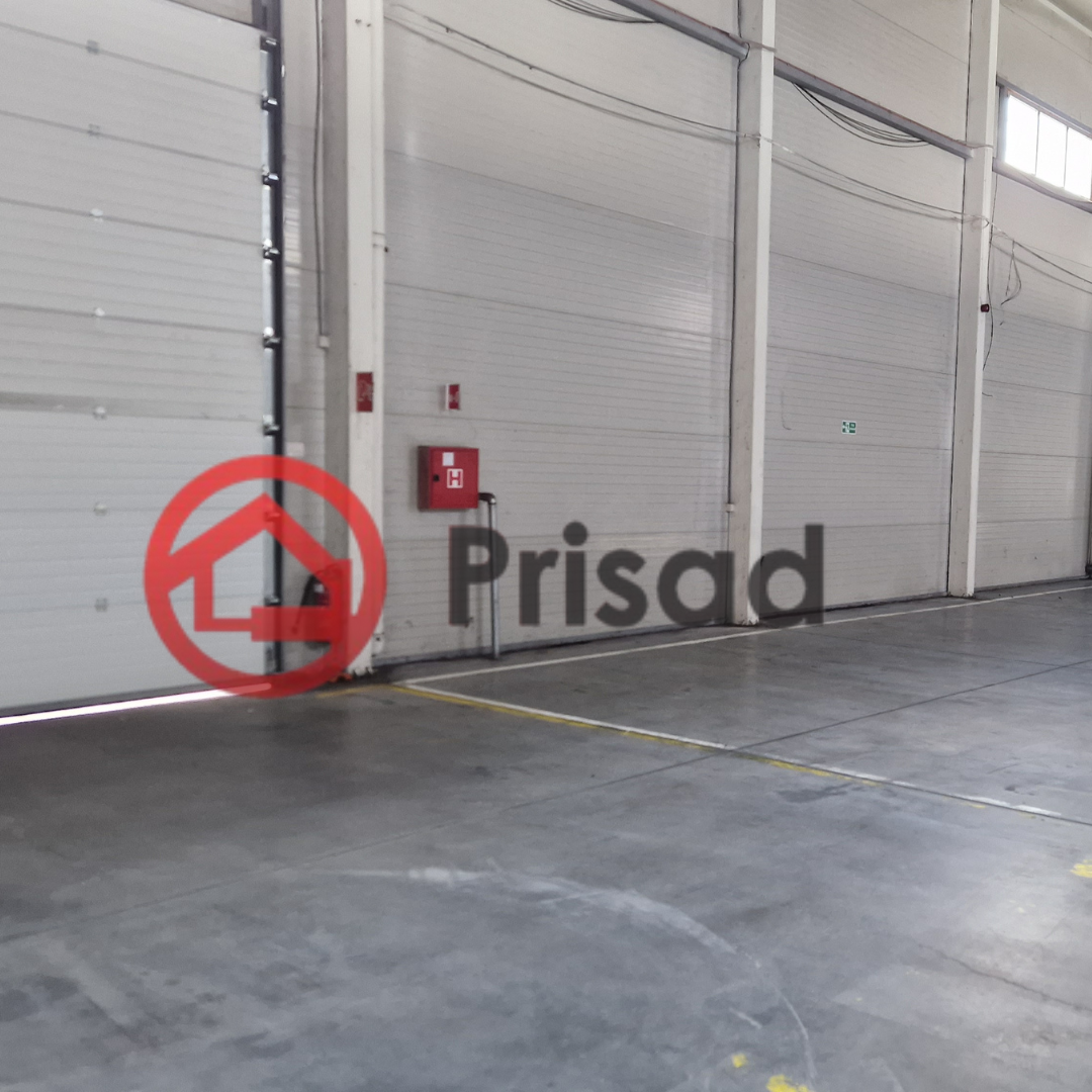 Dobanovci hala 4000m2