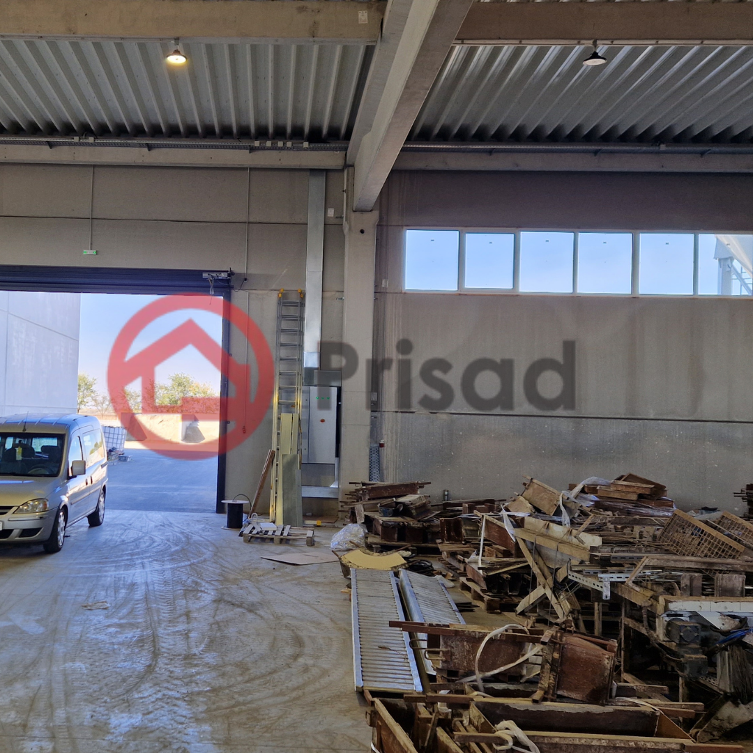 Banovci premium hala